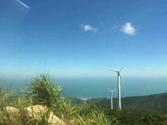 -盐洲岛