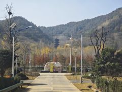 -千年银杏谷文化旅游区