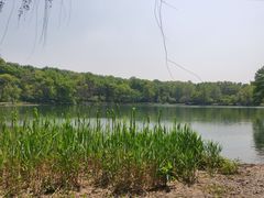 -紫霞湖公园