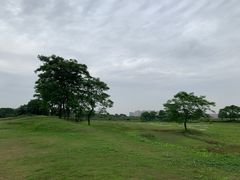 -盘龙城国家考古遗址公园