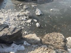 -团结湖公园