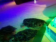 -华夏文旅西安度假区