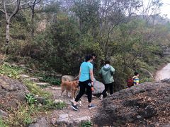 -云岫谷自然风景区