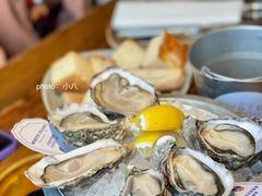 -Osteria Garden 生蚝花园餐厅(原进贤路店)