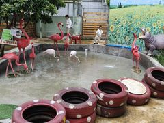-正佳雨林生态植物园