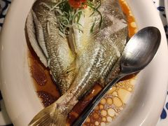 鸡汁蒸黄鱼-江南赋(内蒙古大厦店)