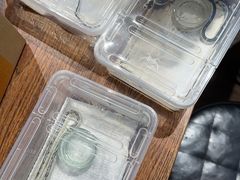 -酷以爬仙阁实体爬宠店·守宫·蜥蜴·专业繁育