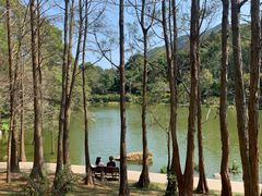 -深圳仙湖植物园