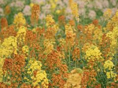 -中国天府农业博览园