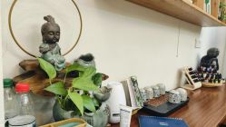 -依灵瑜伽普拉提连锁