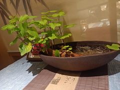 -淮食·雅宴(北大博雅国际酒店)