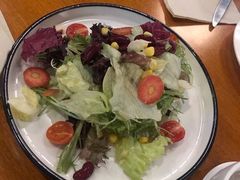 田园时蔬沙拉-布拉格餐厅· 中欧捷克菜(全国首店)