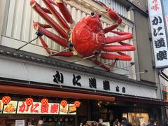 -蟹道乐(道顿堀本店)