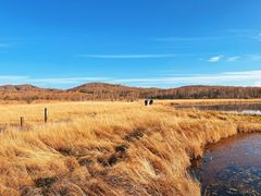 -塞罕坝国家级自然保护区