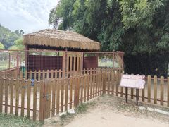 -王借岗森林公园