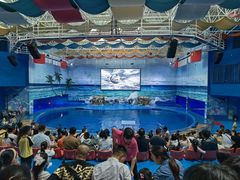 -多彩贵州城极地海洋世界