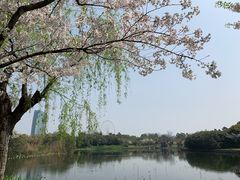 -无锡蠡湖国家湿地公园-蠡园