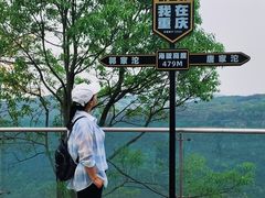 -铁山坪森林公园