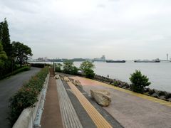 -上海滨江森林公园