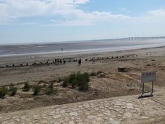 -南汇嘴观海公园