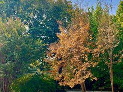 -国家植物园南园