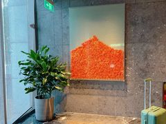 -苏州阳澄半岛英迪格酒店