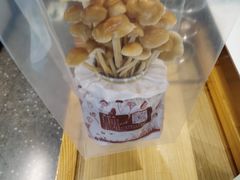 -烹然四季椰子鸡火锅(姚家园万象汇店)