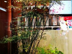 -茶理宜世(花城汇中区店)