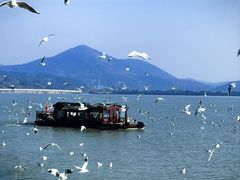 -太湖面馆十八浇(渔港路店)
