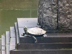 -丽江悦榕庄酒店-明月·雪山庭院餐厅