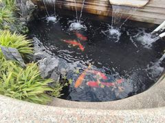 -领晟体育蓝天花园室内游泳馆