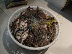-大家发海鲜城夜排档(华山中路店)