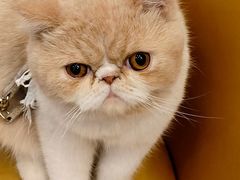 -老虎滩船说·大连海鲜(老虎滩店)