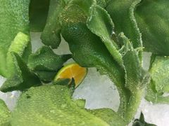 -皇轩大饭店(观音桥店)