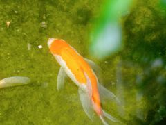 -漫笙舍Manse·咖啡·民宿