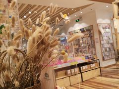 -猫的天空之城概念书店(印象城购物中心店)