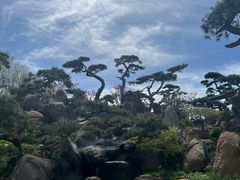 -罗红摄影艺术馆