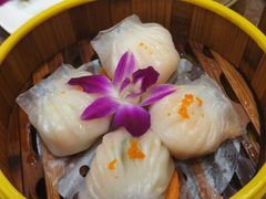 -卡尔顿东方银龙酒店•广西菜•早茶