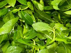 -黔府豆米火锅野菜馆(南马店)