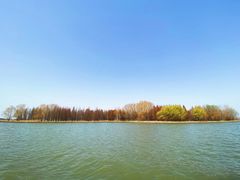 -溱湖国家湿地公园