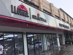 -车艺尚上海龙膜隐形车衣汽车贴膜旗舰店