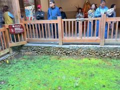 -福建土楼（南靖）云水谣景区-和贵楼