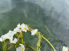 -丽江泸沽湖景区