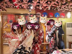 -福尔喵斯探案馆实景搜证·沉浸式剧本杀