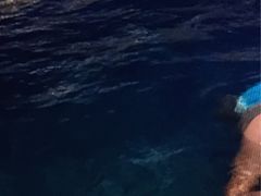 -上海宝华万豪酒店