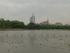 -莲花池公园