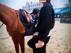 -大连凯洋马术俱乐部有限公司