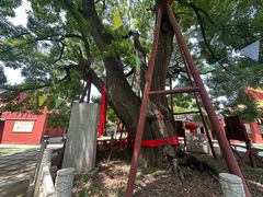 -封龙山风景区