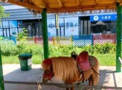 -萌宠亲子动物乐园(槐房万达店)