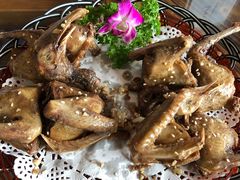 盐焗乳鸽-百丈园(陈村店)